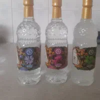 کاسنی