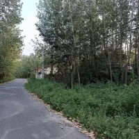 زمین متراژ ۵۰۰ متر روستایی جنب آسفالت|فروش زمین و ملک کلنگی|لاهیجان, گلستان|دیوار