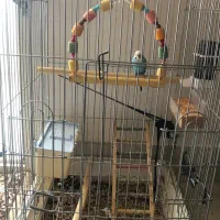 قفس پرنده بزرگ