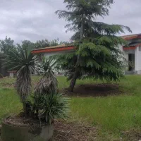 ویلا-باغ-ساحلی-شهرکی-سنددار-ویو-دریا-زیباکنار