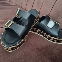 صندل پلنگی|کیف، کفش، کمربند|خرم‌آباد, |دیوار