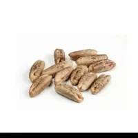 خریدار هسته خرما