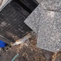 کلور گازی موتور  سوخته|کولر گازی و فن‌کوئل|جیرفت, |دیوار