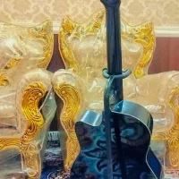 گیتار کینگ خشک|گیتار، بیس، امپلیفایر|زاهدان, |دیوار