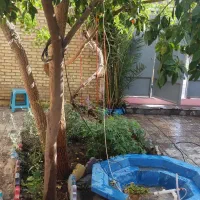 اجاره منزل کلنگی دربست بر ارباب|اجارهٔ خانه و ویلا|اصفهان, فیض|دیوار