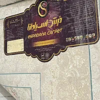 قالی ۹متری|فرش|اهواز, کوی باهنر|دیوار