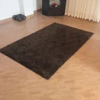 فروش فرش شگی قهوه ای + فرش زمینه کرم|فرش|گرگان, |دیوار