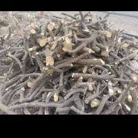 خریدچوب مرکبات