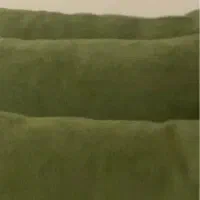 ۳ عدد کوسن ساده سبز رنگ و ۲ عدد کوسن طرح دار|رختخواب، بالش، پتو|تهران, ایرانشهر|دیوار