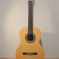 گیتار برند AGRIN