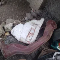 رام شاسی بنز ده تن
