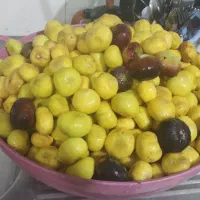 خونه-باغ-تکمیل