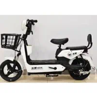 موتور برقی پاکشتی دونفره مارک E.BIKE قسطی بخر|دوچرخه، اسکیت، اسکوتر|اصفهان, بوستان ناژوان|دیوار