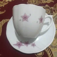 فنجان و نلبکی