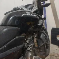 پالس 135