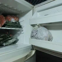 یخچال فریزر قندیل|یخچال و فریزر|خمینی‌شهر, |دیوار