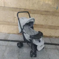 کاسکه دلیجان|کالسکه و لوازم جانبی|همدان, |دیوار