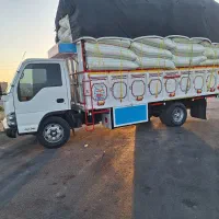 کاه دیم گندم کردستان