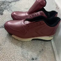 نیم بوت زنانه ۳۸|کیف، کفش، کمربند|سبزوار, قائم|دیوار