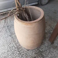 تنور گلی