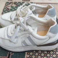 تعدادی کفش اسپرت، مجلسی و نیم بوت و چکمه