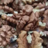 مغز گردو