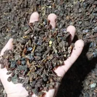 انواع کشمش|خوردنی و آشامیدنی|میاندوآب, |دیوار