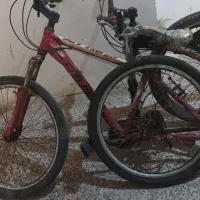 دوچرخه|دوچرخه، اسکیت، اسکوتر|بندرعباس, |دیوار