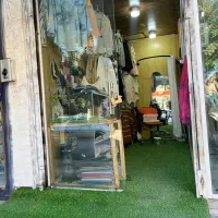 مغازه اجاره