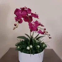 گلدان ، ارکیده ، گل مصنوعی|گل مصنوعی|مشهد, فرهنگ|دیوار
