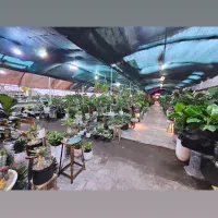 فضای  ۷۰۰متری در مرکز شهر