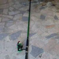 لنسر اردک ماهی