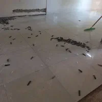 کاشی‌کاری کاشیکاری سرامیک کاری تعمیرات ساختمان سر|خدمات پیشه و مهارت|اهواز, زیتون کارمندی|دیوار