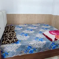 سوییت اجاره‌ای|اجارهٔ کوتاه‌مدت آپارتمان و سوئیت|گرگان, |دیوار