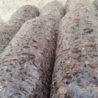 خرما جهت شیره گیری ارسال به تمام نقاط