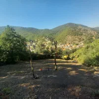 فروش فوری زمین در جماالدین کلا|فروش زمین و ملک کلنگی|کیاسر, |دیوار