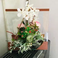 استند شیشه ای