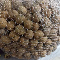 بادام و گردو،الوبخارا،سیر|خوردنی و آشامیدنی|شیراز, شهرک پردیس|دیوار