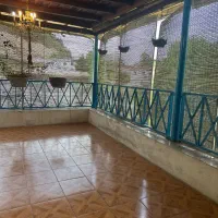 ویلا فلت   حنظله