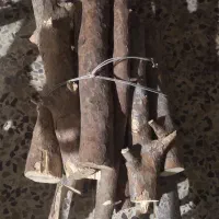 چند دسته چوب
