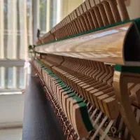 کوک و رگلاژ پیانو|پیانو، کیبورد، آکاردئون|مشهد, هفت تیر (حافظ)|دیوار