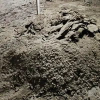 کود مرغی خشک