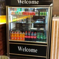 یخچال صنعتی