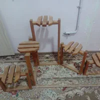 پایه گل|گل و گیاه طبیعی|تایباد, |دیوار