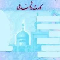 چند عدد مدارک گم کردم