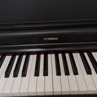 YDP164|پیانو، کیبورد، آکاردئون|تهران, ظفر|دیوار