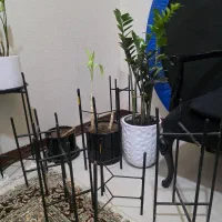 گلدان و پایه ۸ عدد مشکی دونه ای ۳۰۰