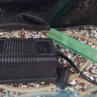 اکواریوم|ماهی|خرم‌آباد, |دیوار