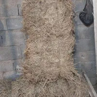 کاه(کولش)