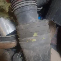 گلدان مشکی سایز ۶ و ۸ و ۱۰به بالا سینی نشا|گل و گیاه طبیعی|مشهد, خواجه ربیع|دیوار